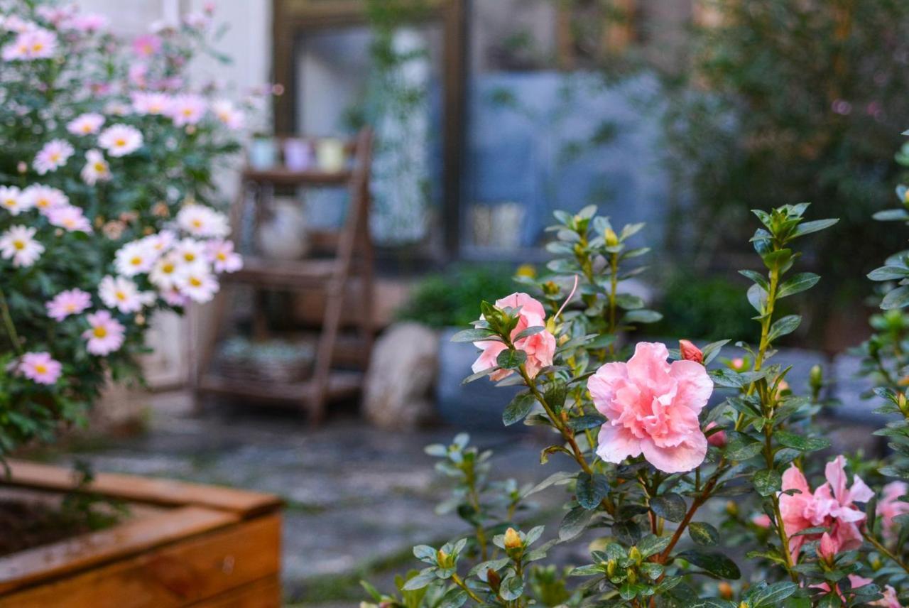 Dali Buxianshan Boutique Guesthouse-In Dali Ancient City,Near Three Pag Odas And Erhai Lake,Provide Tour Guide Service And Local Experience Exterior photo